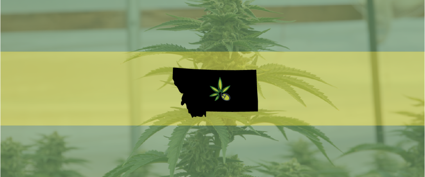 Image of the state of Montana—there is a new recreational marijuana state.