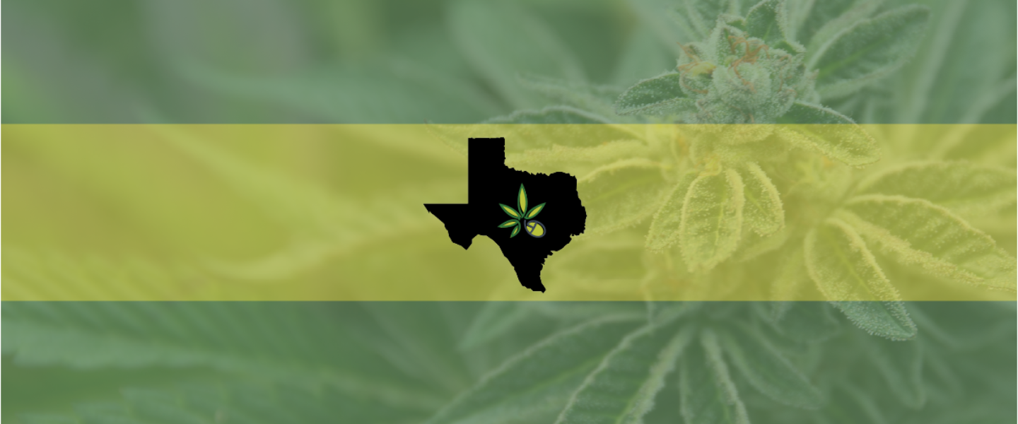 Picture of the state of Texas in front of a marijuana plant—Texas police departments are at odds on how to handle the scent of marijuana as probable cause for searching vehicles.