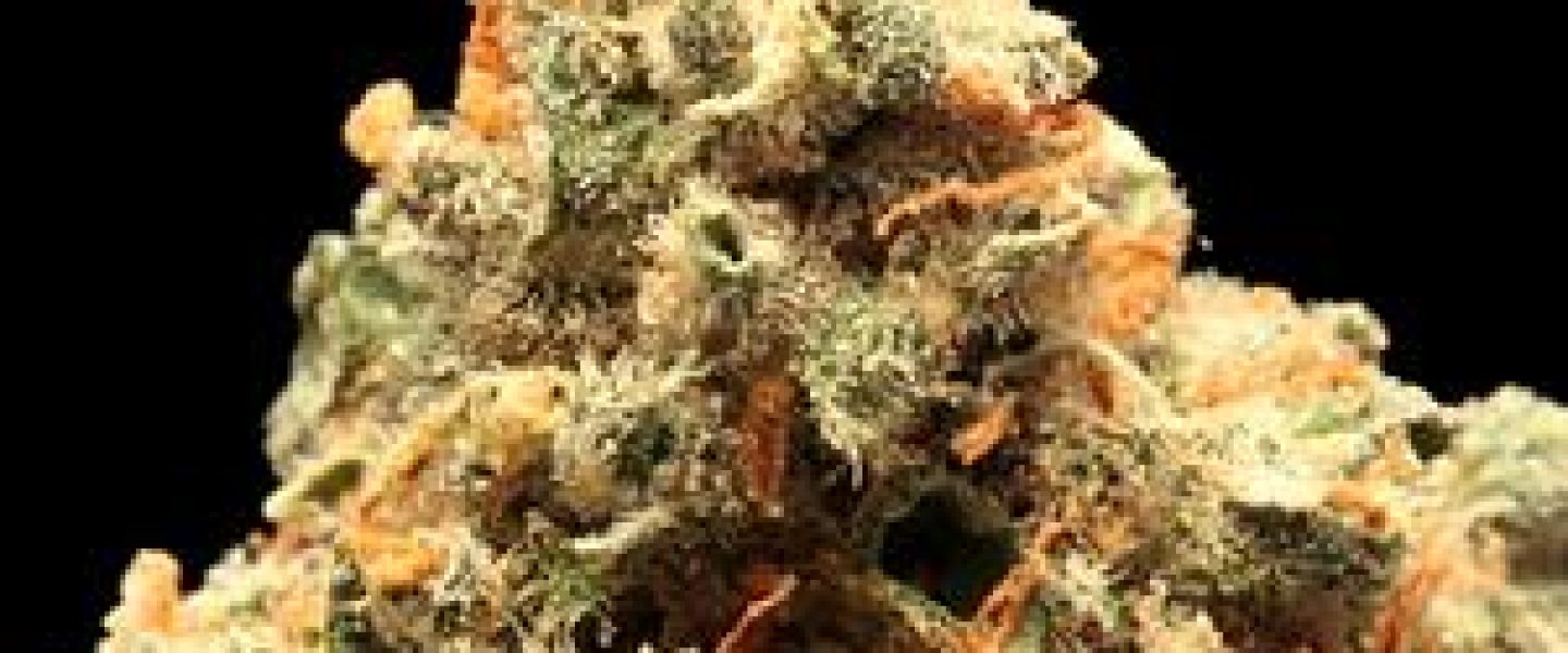 fire jack frost marijuana strain