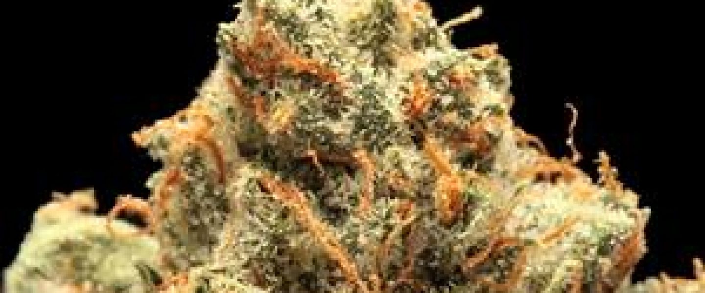 fire king og marijuana strain