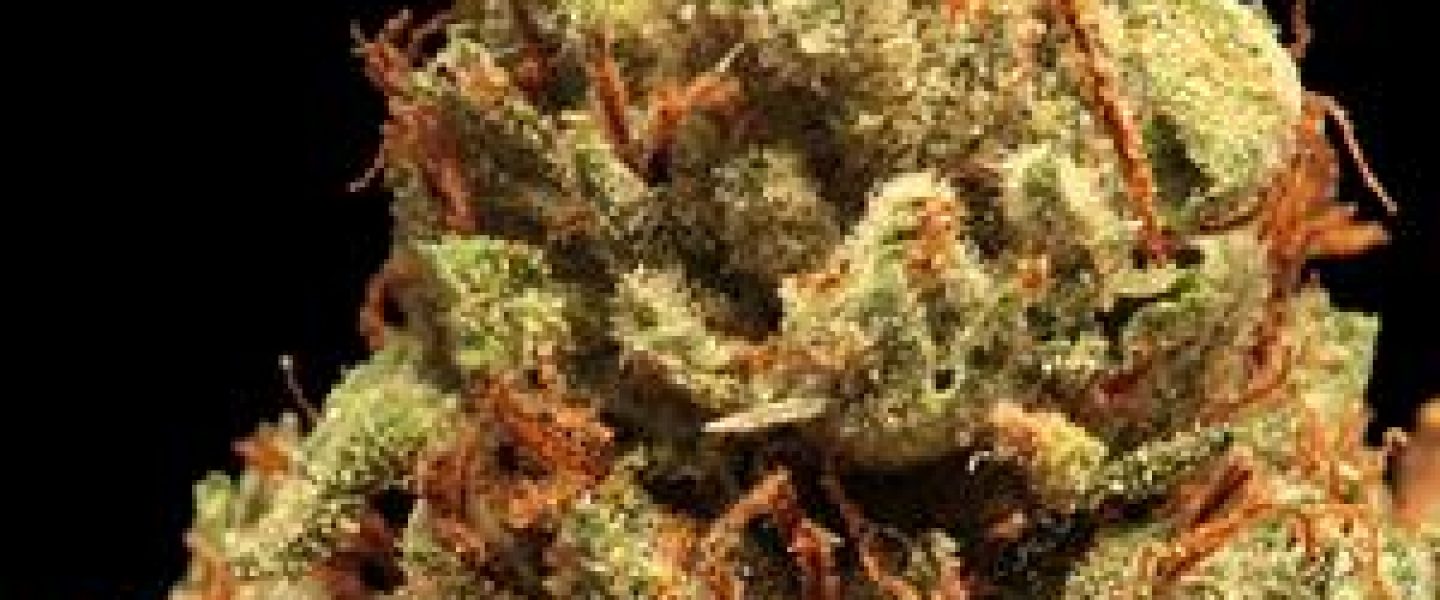 ireland marijuana cannabis reform