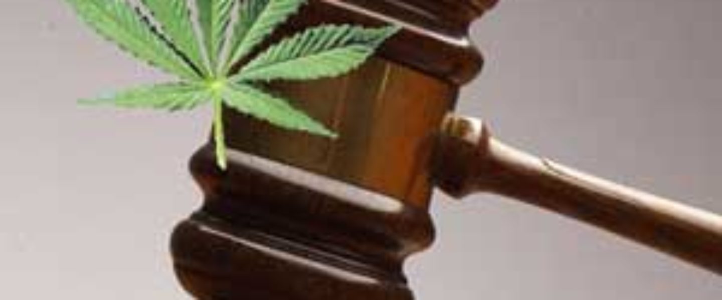 Gavel marijuana miami prosecutor