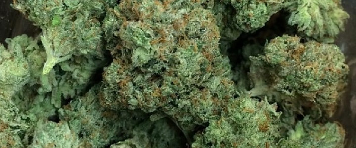 ghost og marijuana strain