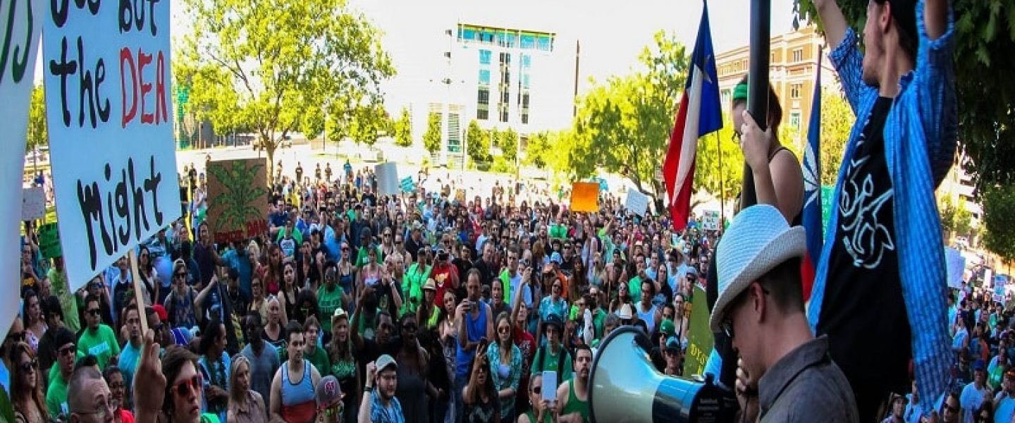 global marijuana march fort worth dfw norml