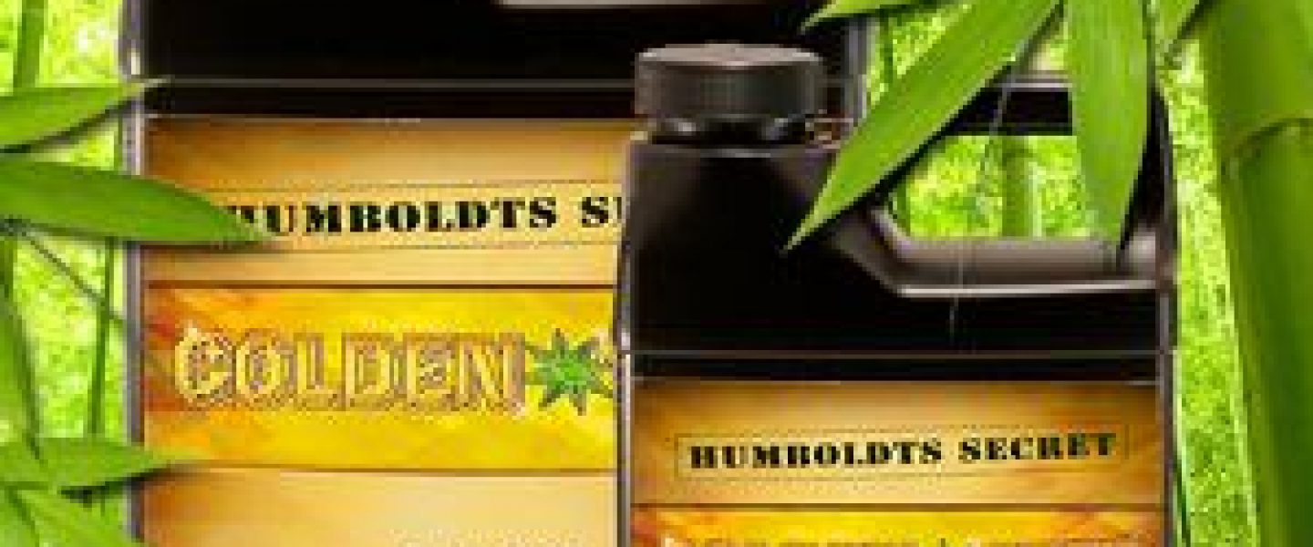 golden tree hydroponic nutrient marijuana cannabis