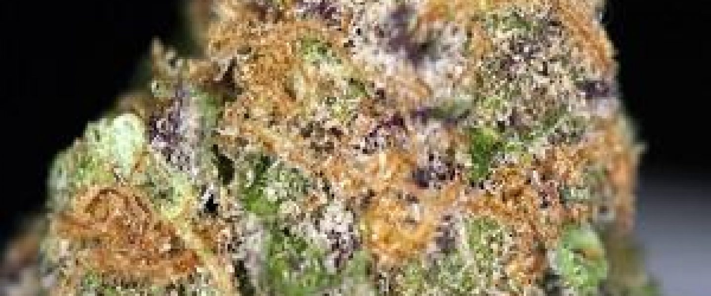 grape ape marijuana strain