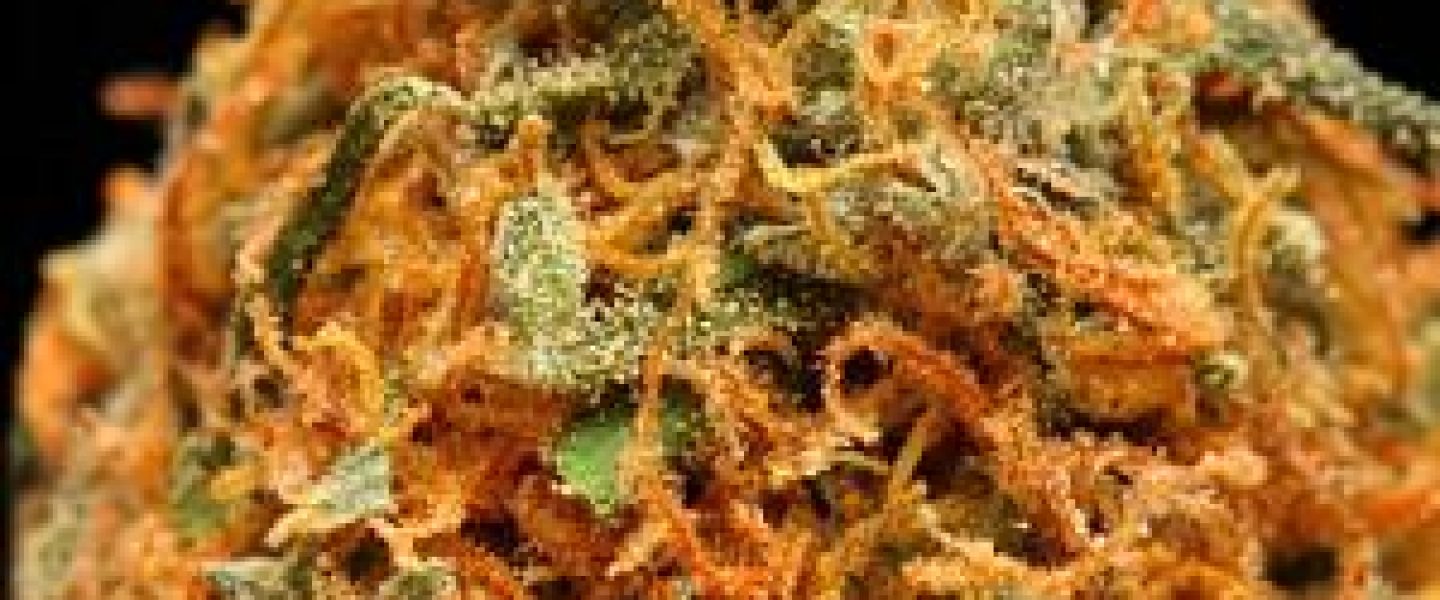 harlequin marijuana strain