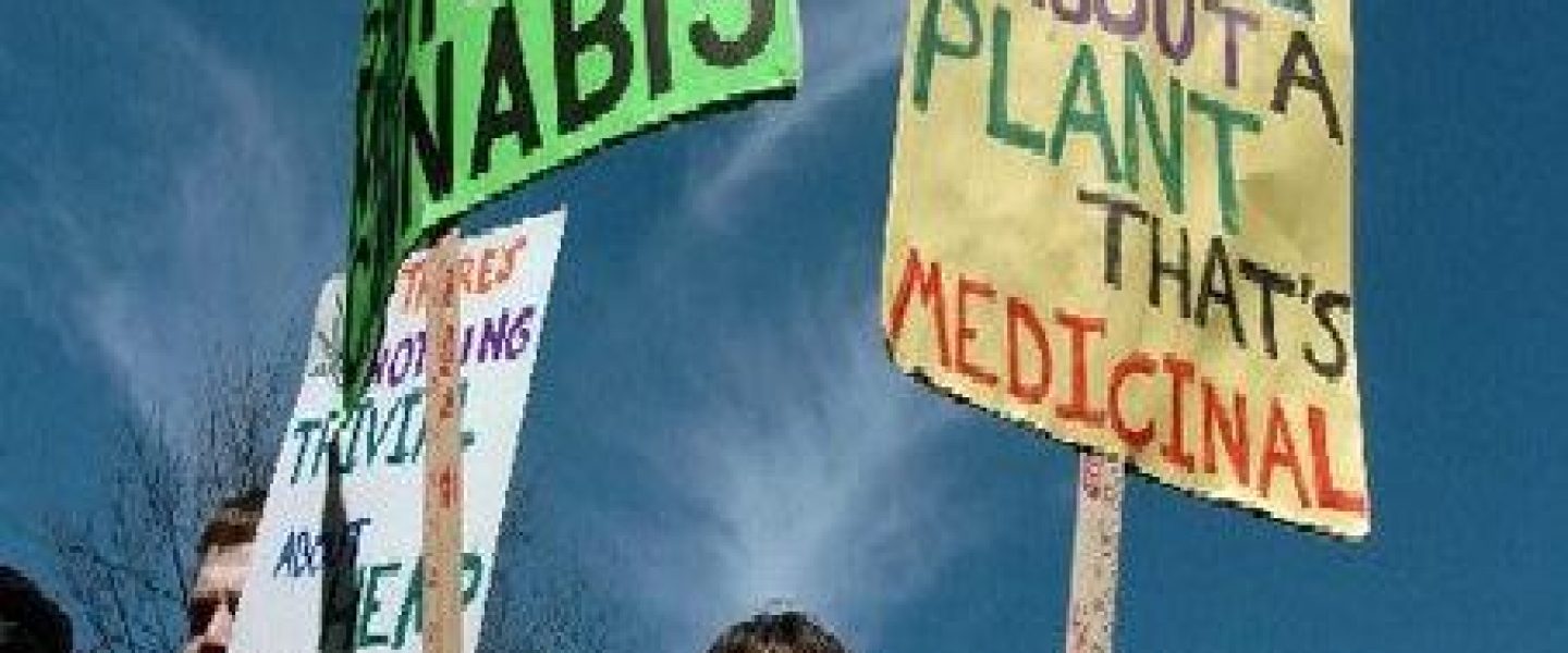 michigan medical marijuana reporting governor