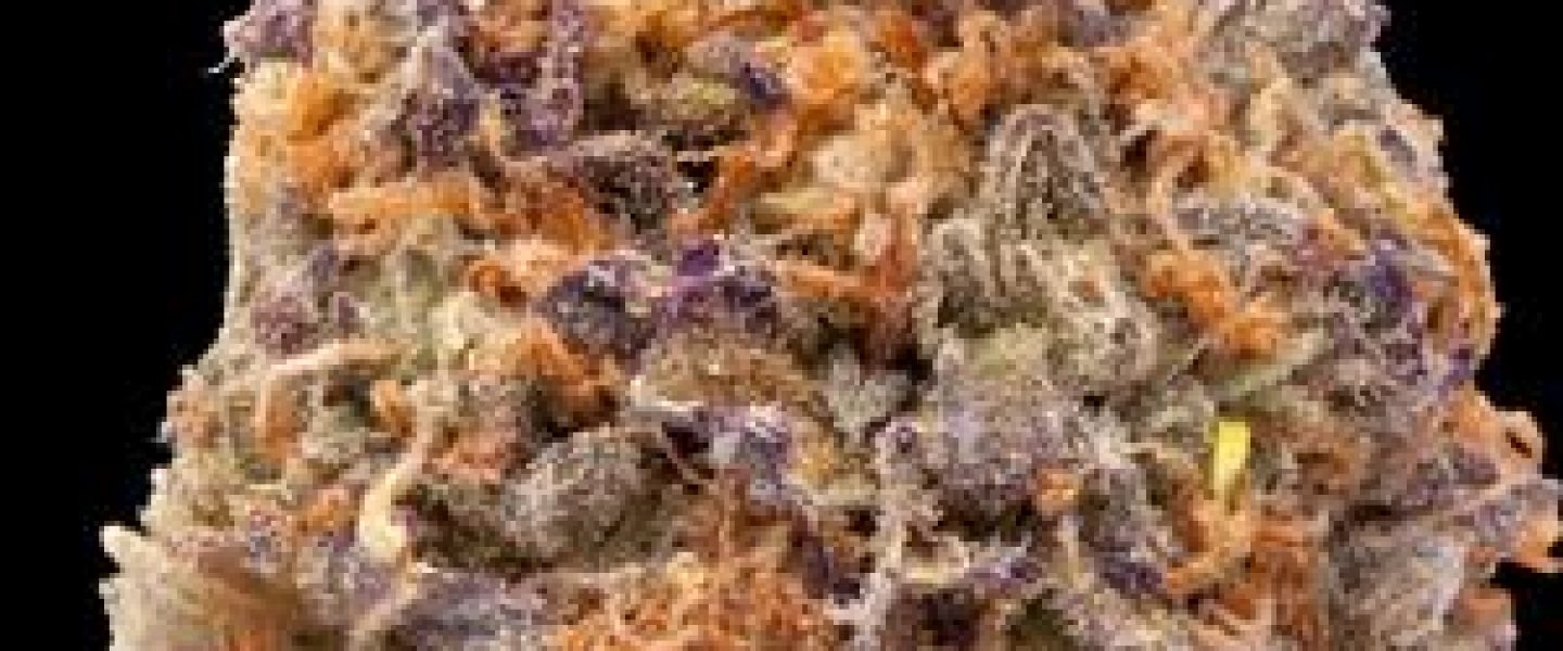 heavy duty fruity marijuana strain