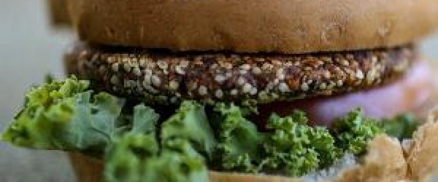 hemp seed burger burgers