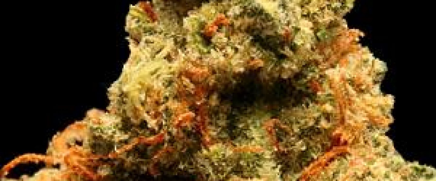 herojuana og marijuana strain