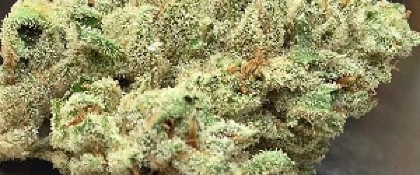 holy grail og marijuana strain