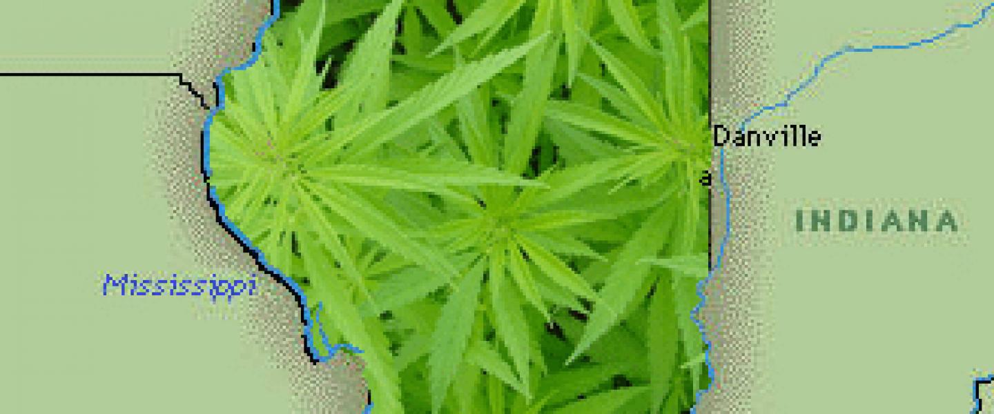 Illinois medical marijuana hb 1