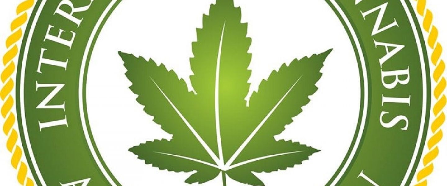 international cannabis association