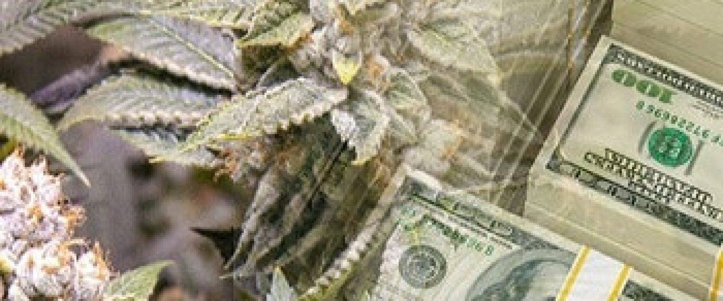 investing in marijuana