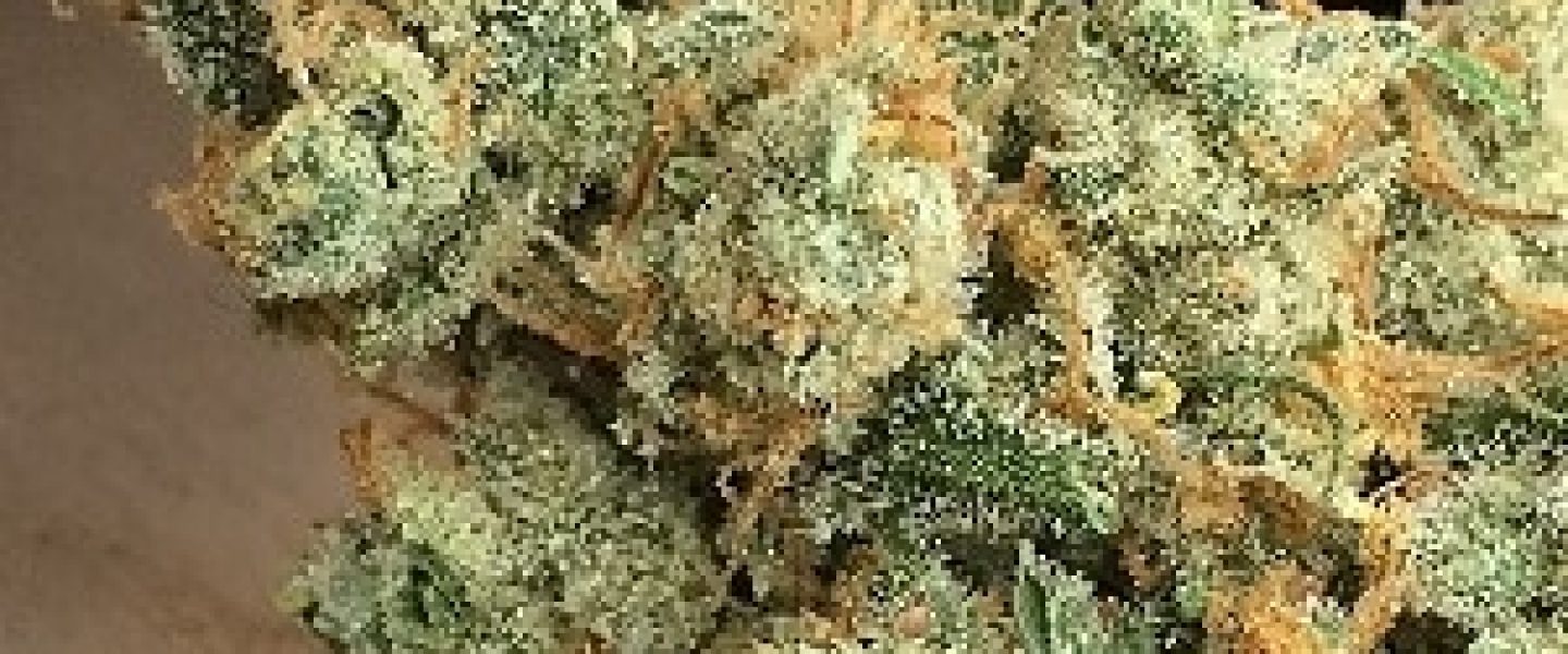 j1 marijuana strain