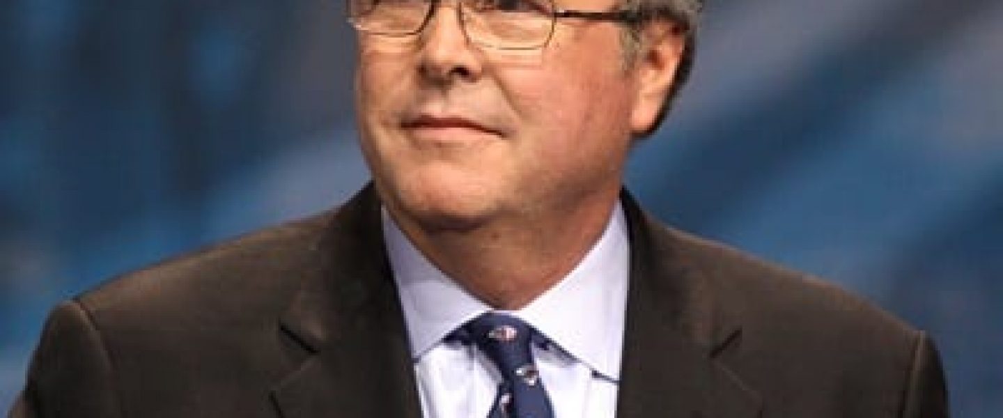 jeb bush marijuana