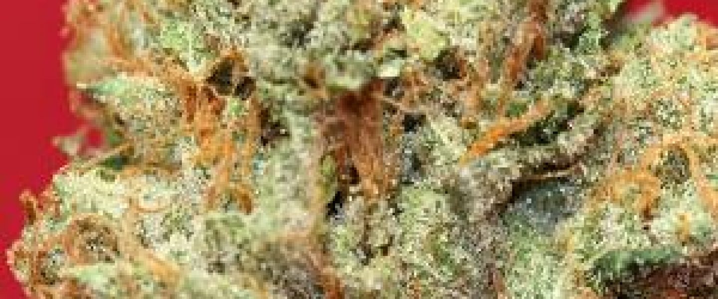 jupiter og marijuana strain