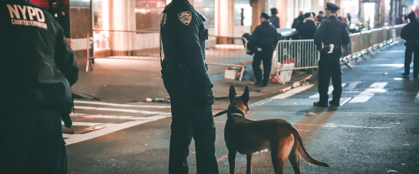 An NYPD memo tells police officers not to stop New Yorkers from smoking marijuana in public.