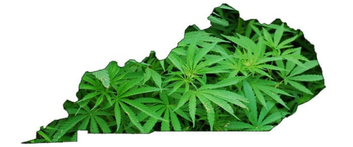 legalize medical cannabis in kentucky