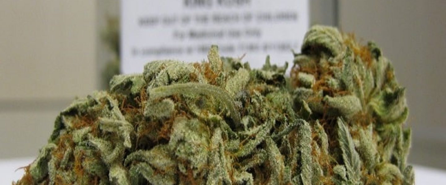 king kush marijuana strain