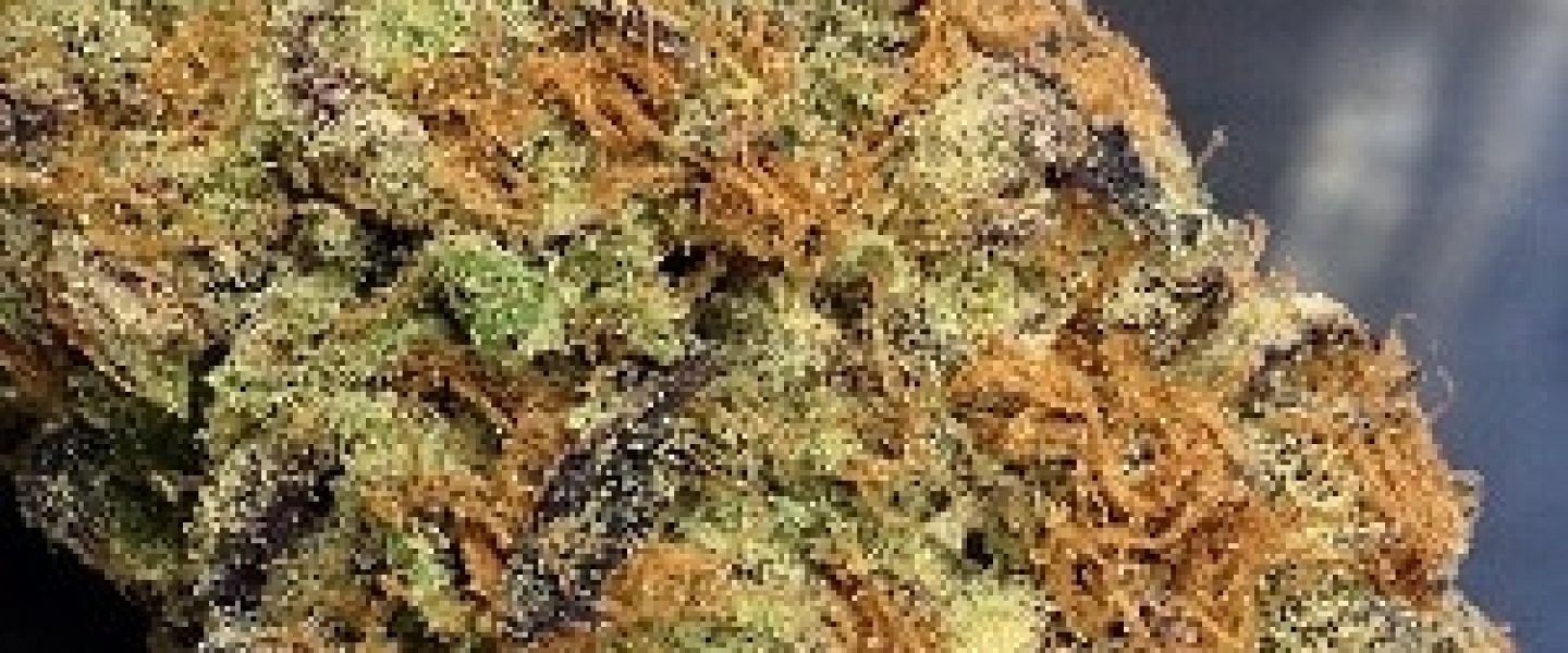 kryptonite marijuana strain