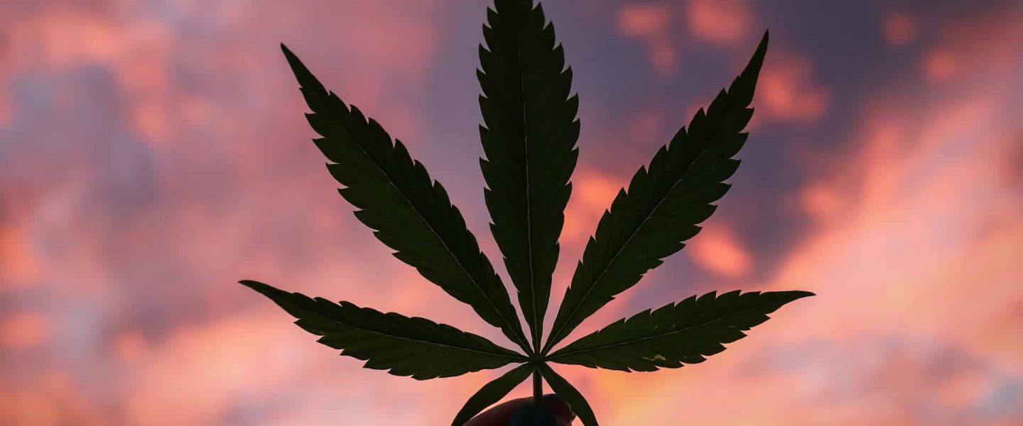 A New Poll Finds That 91% of Americans Support the Legalization of Medical or Adult-Use Marijuana.