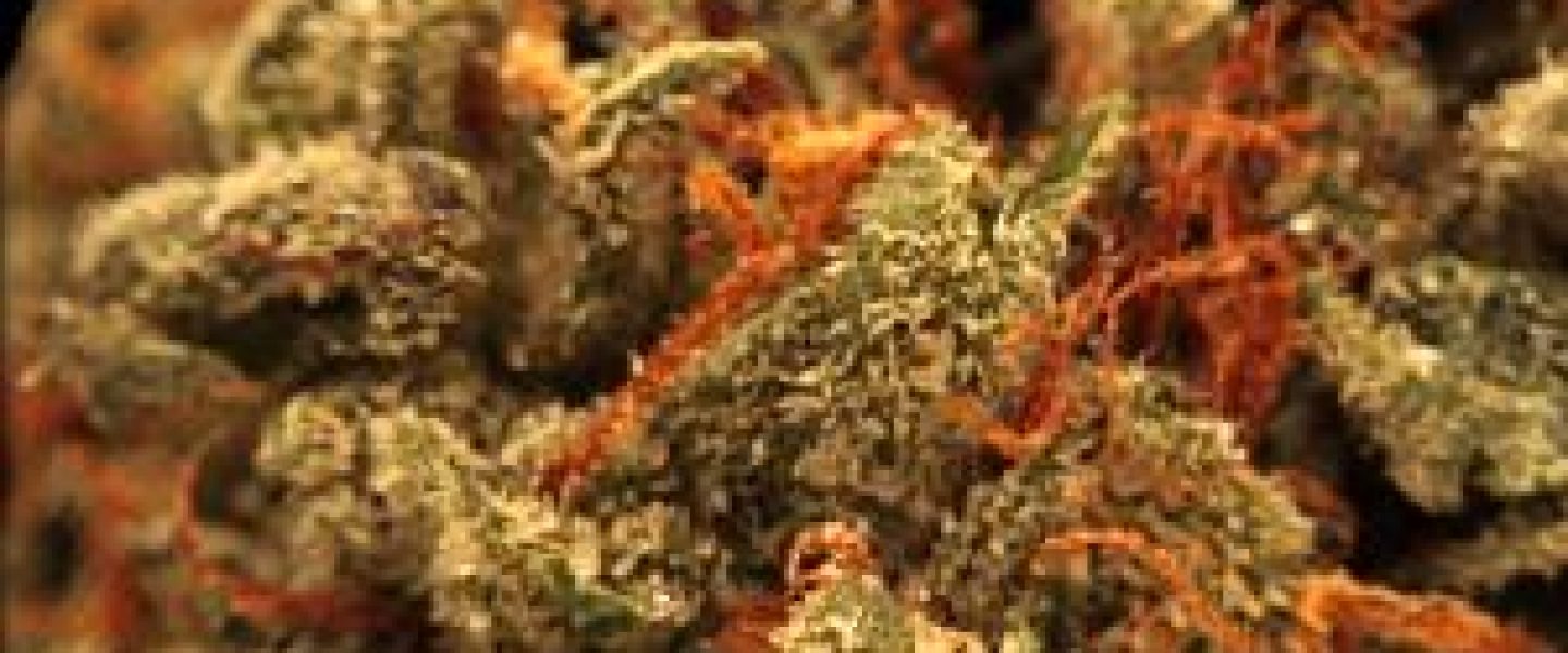 larry og marijuana strain