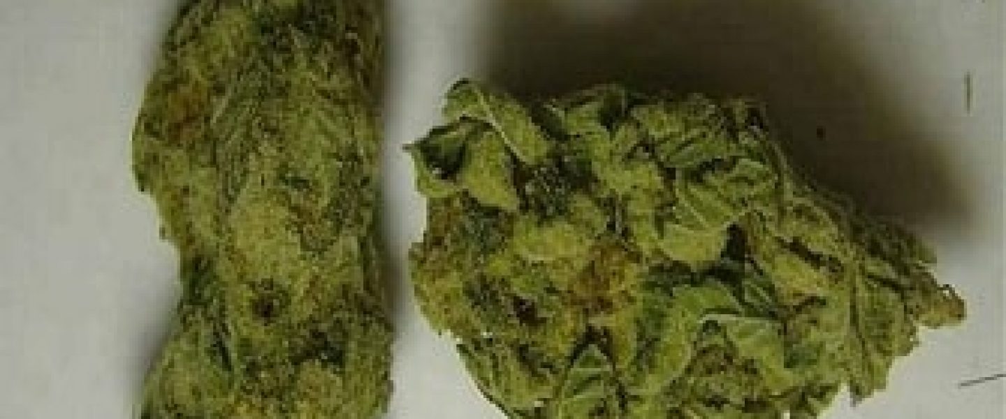 lemon kush marijuana strain