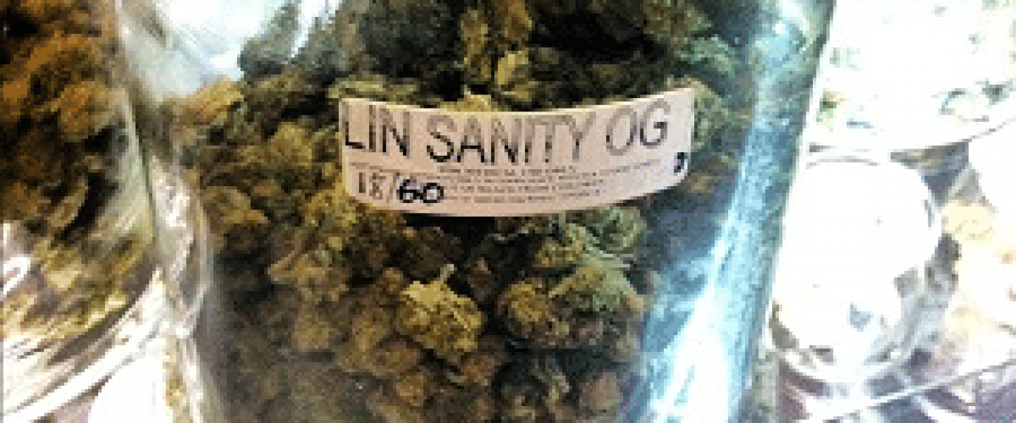 linsanity og marijuana strain