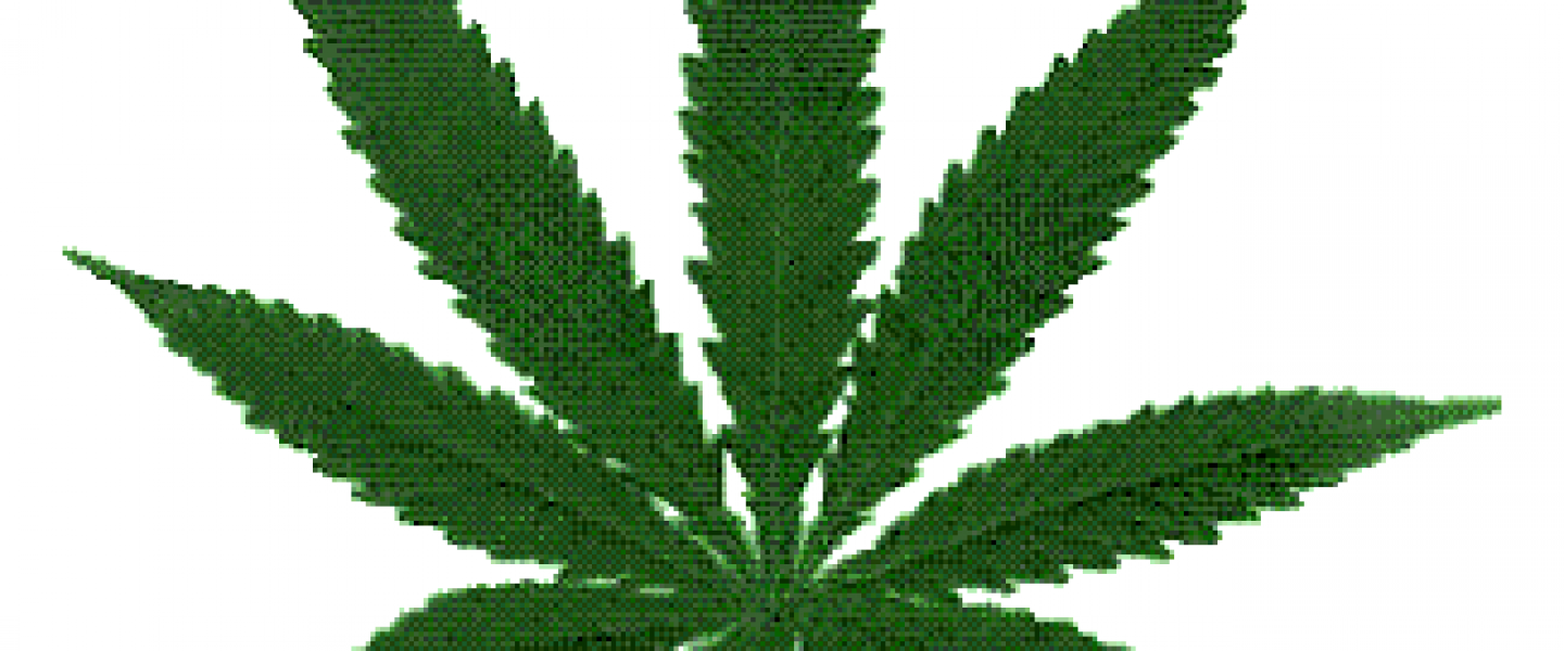 marijuana 2014