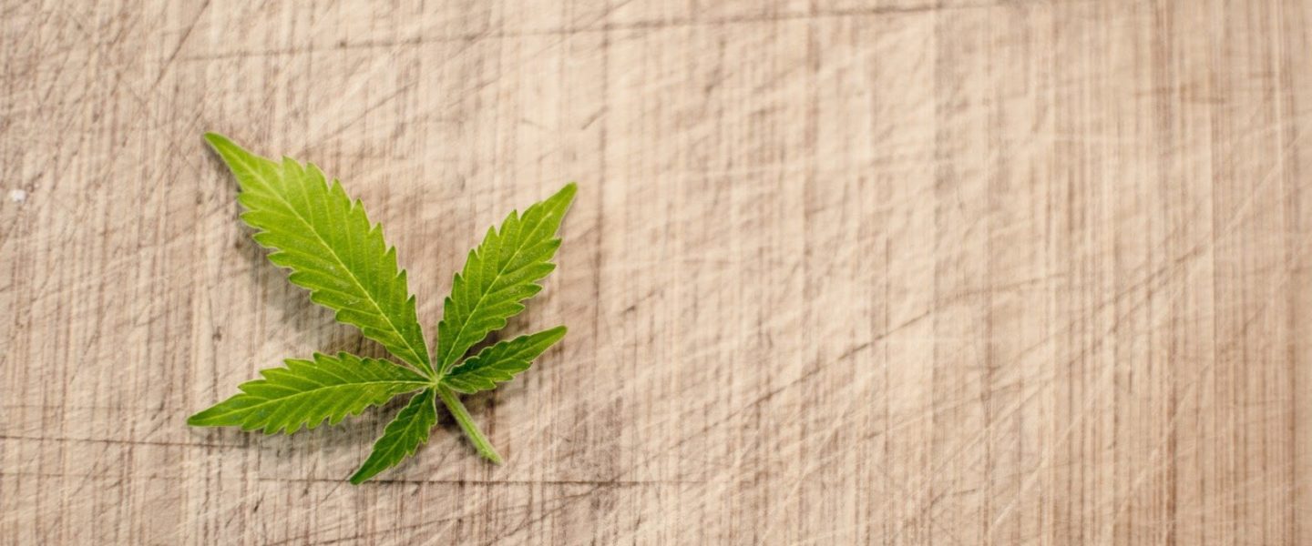 marijuana leaf against a neutral backdrop.