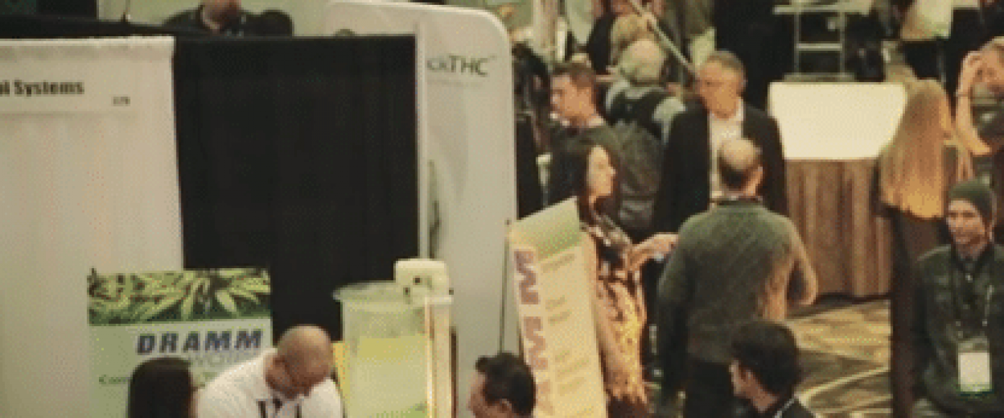 marijuana business conference expo