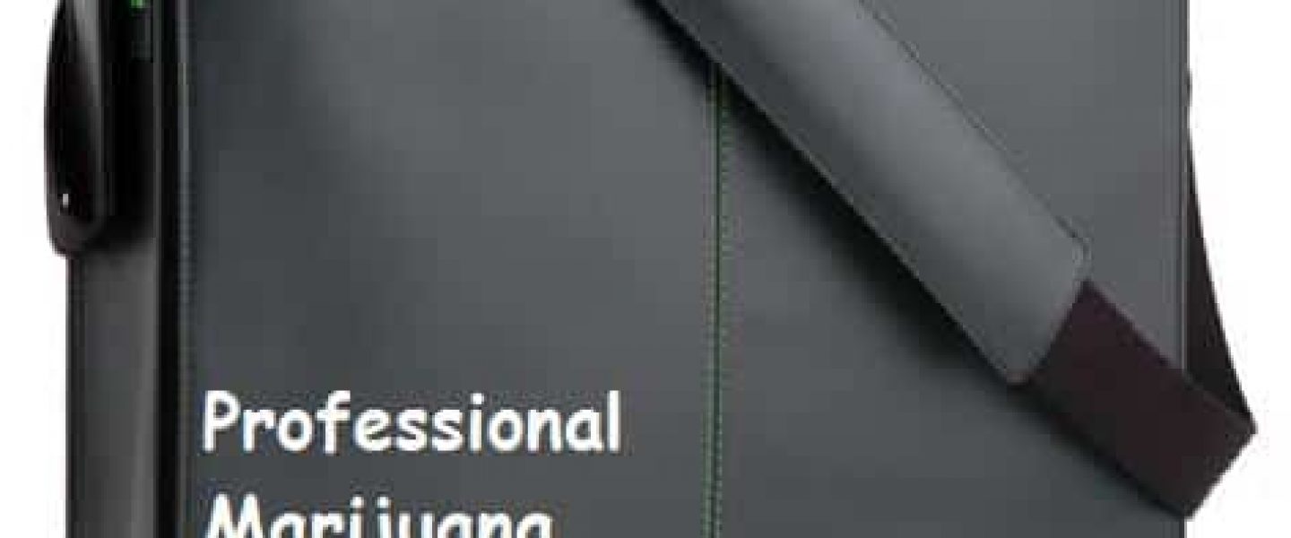 cannabis marijuana career