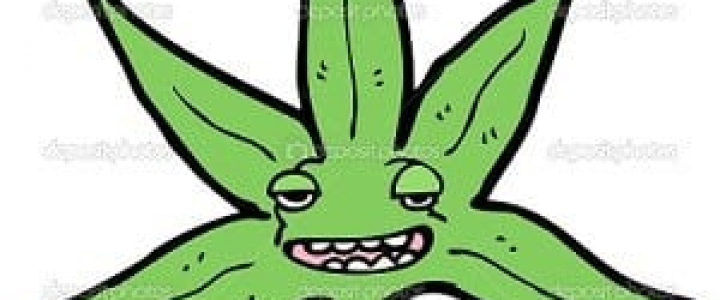 marijuana cartoons