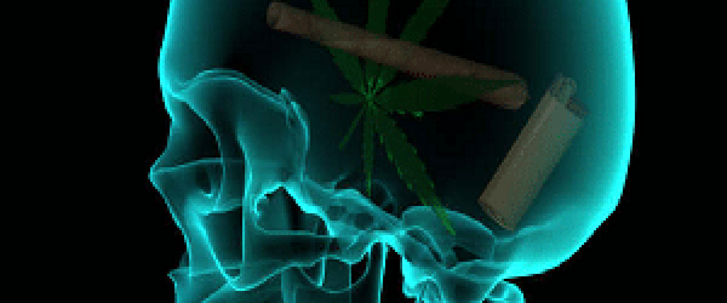 marijuana creative