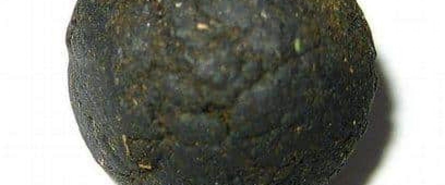 cannabis hash