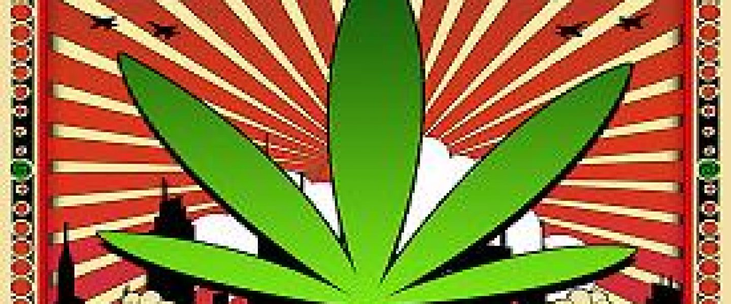 marijuana legalize it now