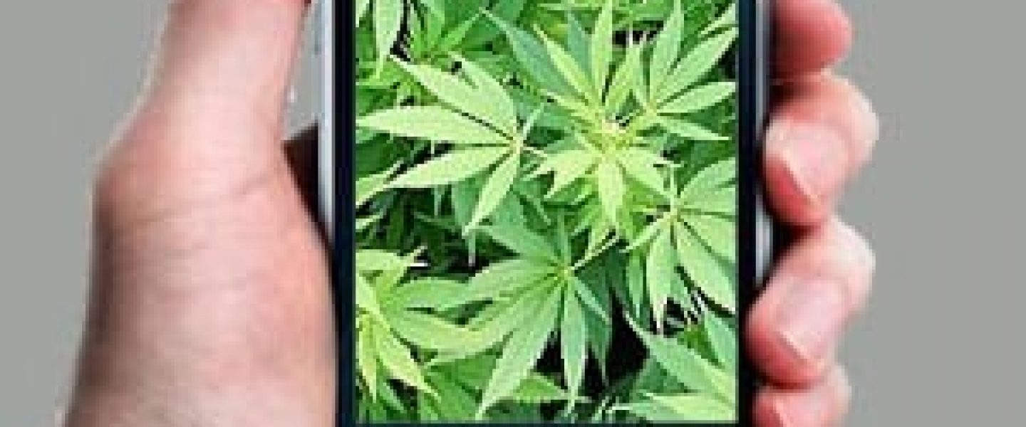 us cell phone spying surveillance marijuana