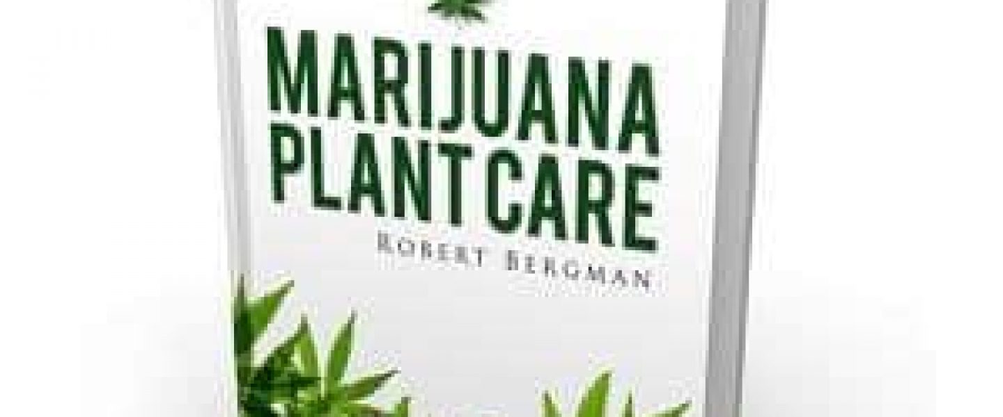 marijuana plant care book robert bergman