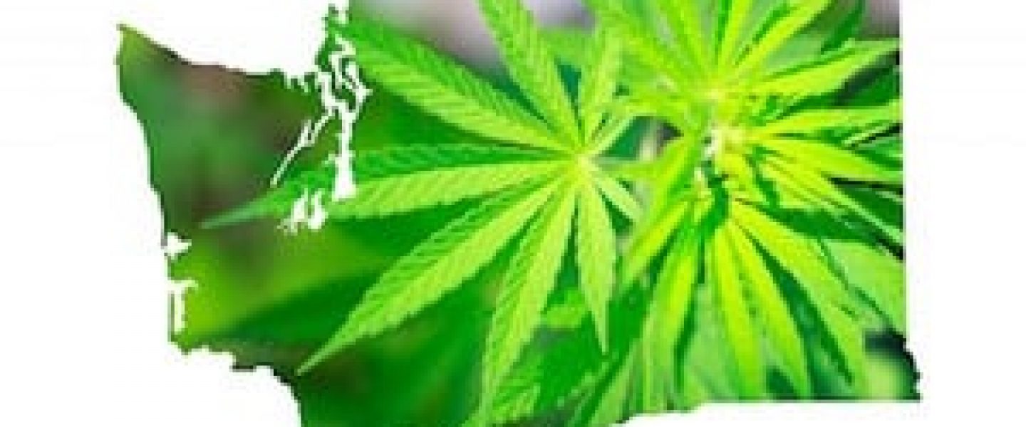 marijuana-wa-1200xx2516-1415-92-0-800x449