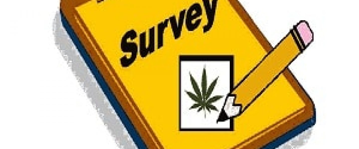 washington state marijuana survey