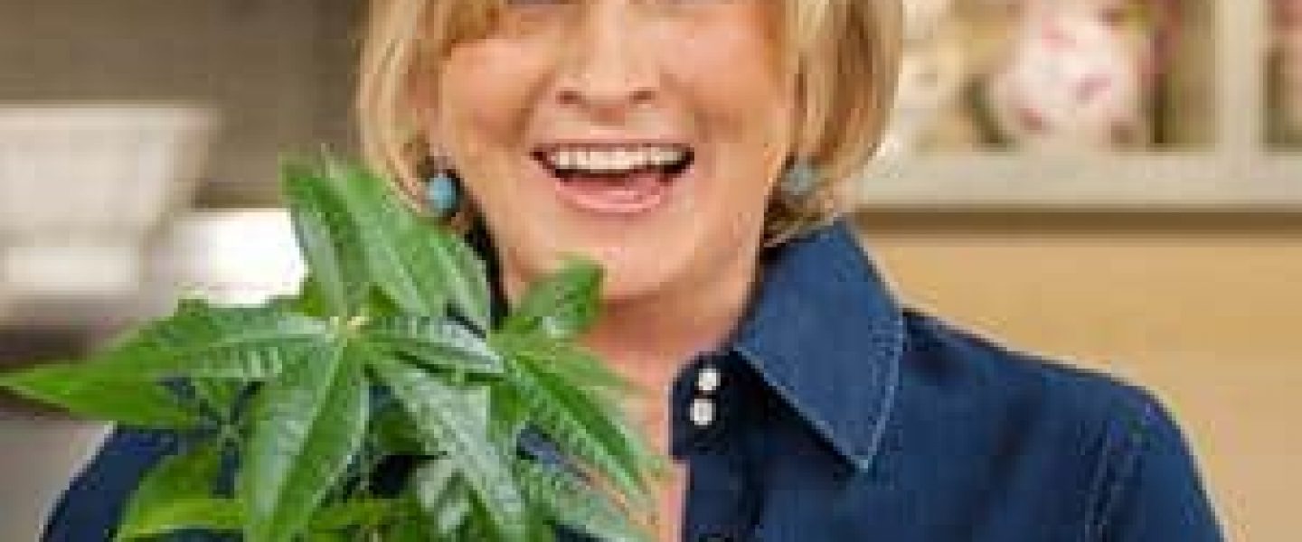 martha stewart marijuana