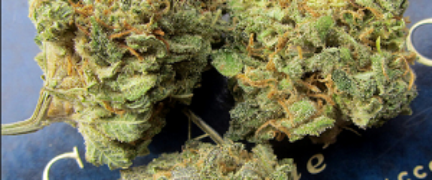 Maui wowie marijuana strain.