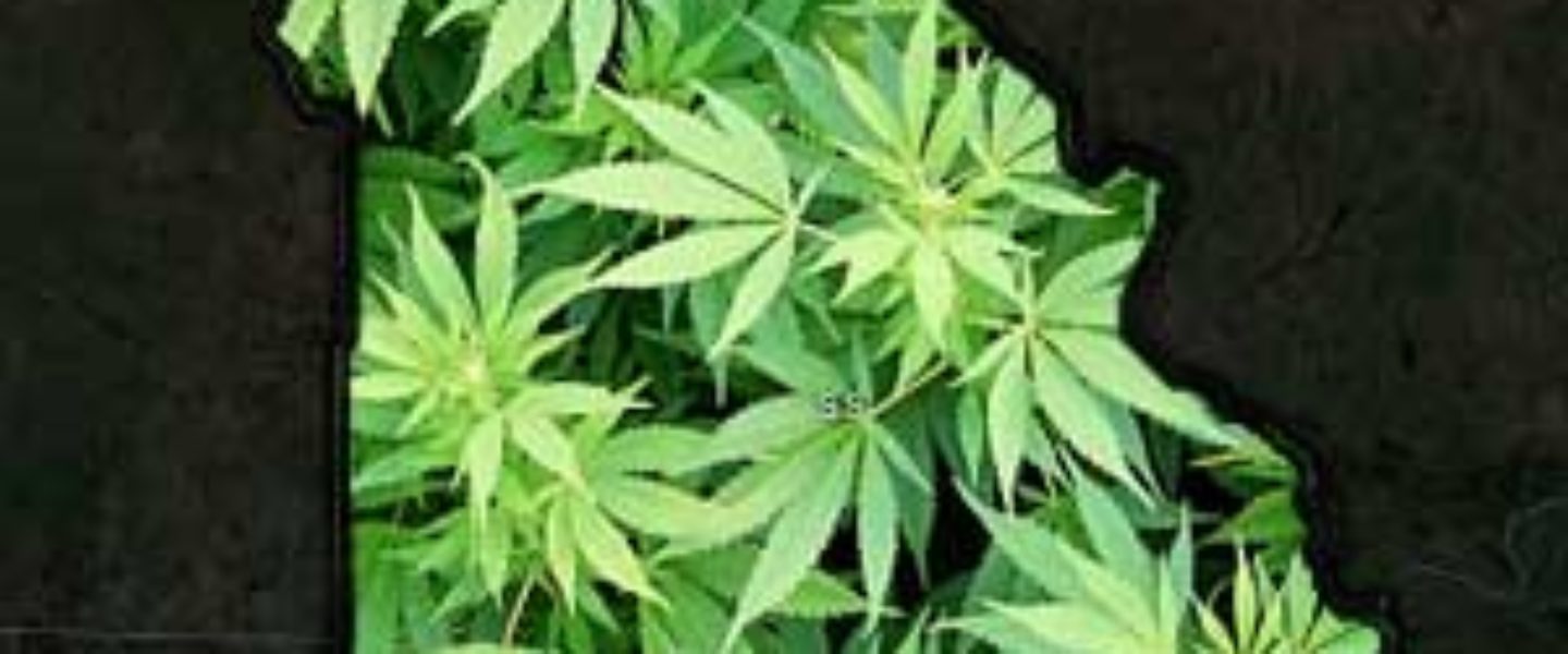 missouri marijuana decriminalization hb 512 testimony