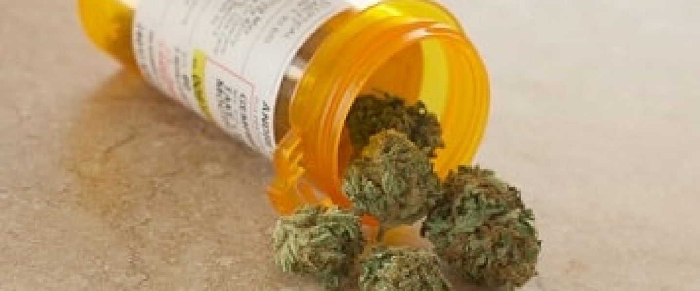 State Medical Cannabis Laws