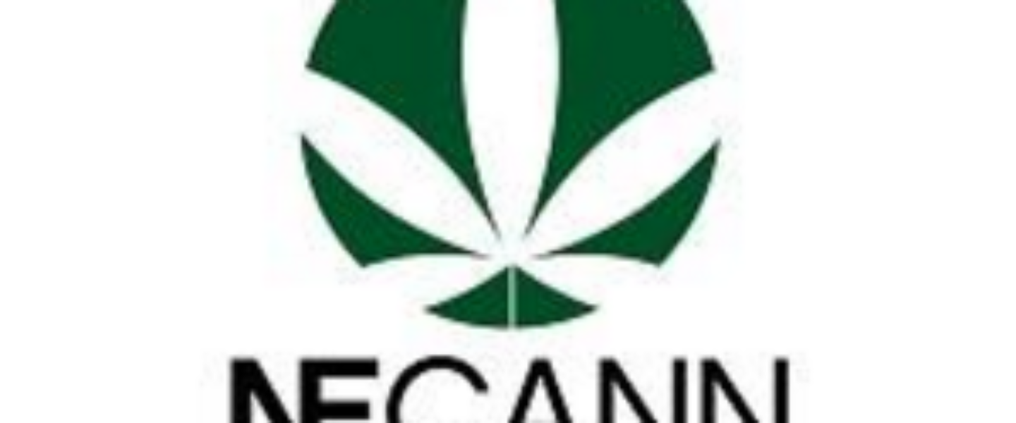 New England's Largest Cannabis Convention Coming To The Hynes ...