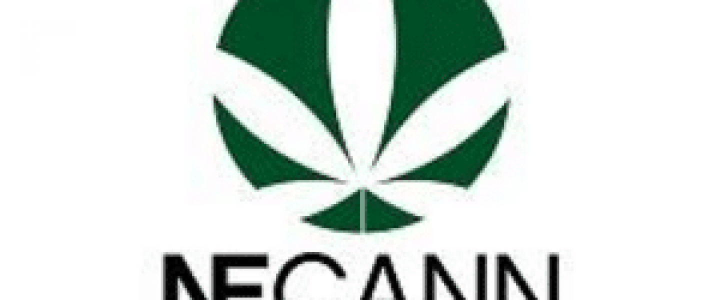 new england cannabis convention