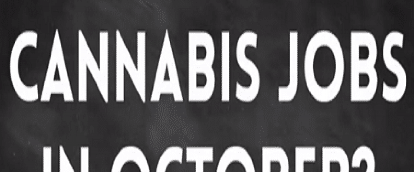 october marijuana jobs 2015