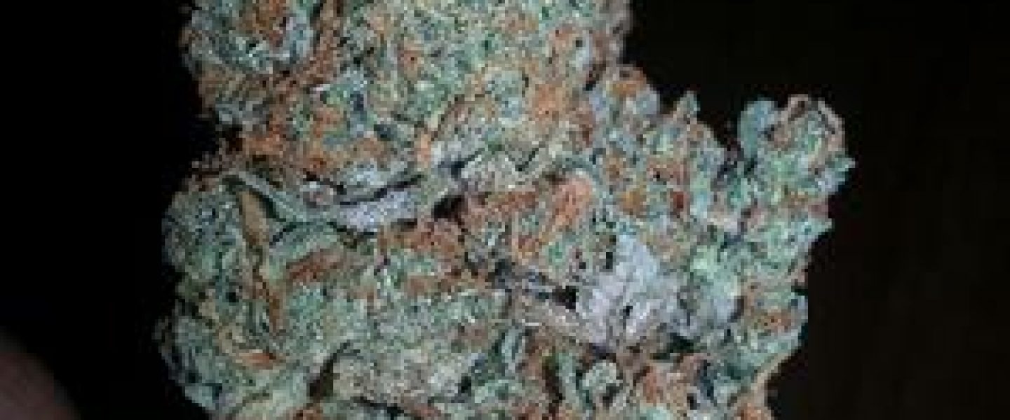 og kush marijuana strain